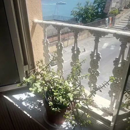 Cosmopolis * Portoferraio